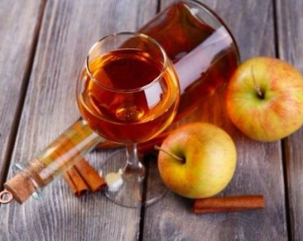 13 receptes fàcils de fer a la casa de vi de poma