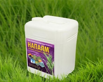 Instructions pour l'utilisation de l'herbicide Napalm, mesures de sécurité et analogues