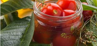 Recetas para encurtir tomates con canela para el invierno en casa.
