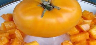 Beschrijving van de tomatensoort Vergulde belyash en zijn kenmerken