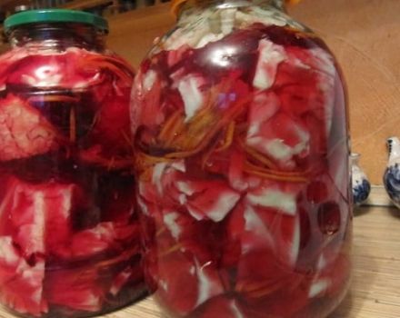 TOP 10 instant recipes for pickled red cabbage in slices for the winter