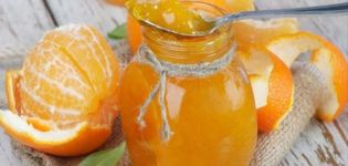 6 pinakamahusay na mga recipe ng tangerine jam