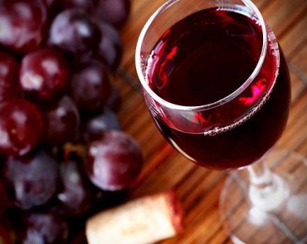 A TOP 7 recept a vörös szőlőbor készítéséhez otthon