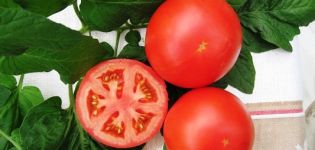 Caratteristiche e descrizione della varietà di pomodoro Tolstoj, sua resa e coltivazione