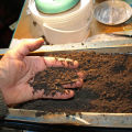 Làm thế nào để chuẩn bị đất cho cây giống cà chua ở nhà bằng tay của chính bạn