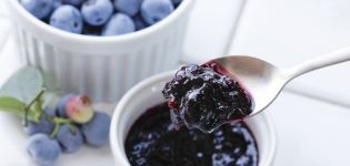 A simple recipe for making blueberry jam for the winter