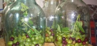 Прости и оригинални рецепти за приготвяне на компот от червено и касис с цариградско грозде за зимата