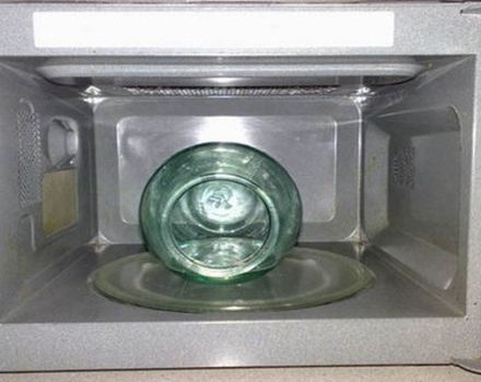 Mikrodalgadaki kavanozları su ile ve susuz hızlı bir şekilde sterilize etme