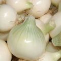 Los beneficios y daños de las cebollas blancas, variedades de variedades, reglas de almacenamiento y recolección.