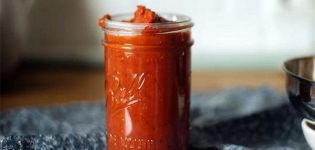 7 meilleures recettes étape par étape pour préparer la sauce bolognaise pour l'hiver