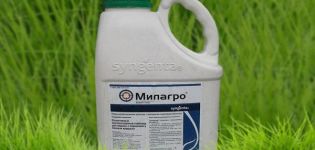 Instrucciones de uso del herbicida Milagro, tasas de consumo y análogos.