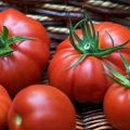 Eigenschaften und Beschreibung der Tomatensorte Puzata khata, deren Ertrag