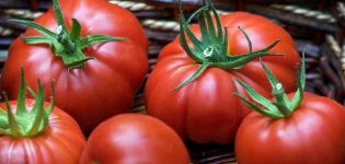 Đặc điểm và mô tả của giống cà chua Puzata khata, năng suất của nó