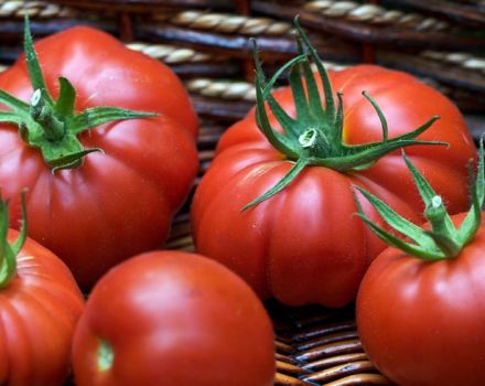 Characteristics and description of the Puzata khata tomato variety, its yield