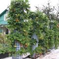 Cómo hacer camas verticales para cultivar fresas con tus propias manos.