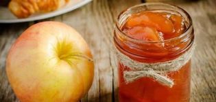 TOP 3 recipes for transparent jam with cinnamon apple slices