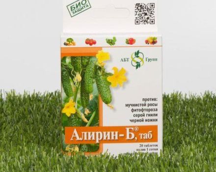 Samenstelling en instructies voor het gebruik van het fungicide Alirin-B, dosering en analogen