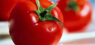 Charakterystyka i opis odmiany pomidora La La Fa, jej plon