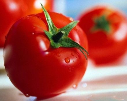 Caractéristiques et description de la variété de tomate La La Fa, son rendement