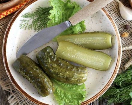 Ako sušiť uhorky uhorky, krok za krokom recept