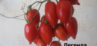 Χαρακτηριστικά και περιγραφή της ποικιλίας ντομάτας Legenda Tarasenko (multiflora), η απόδοσή της