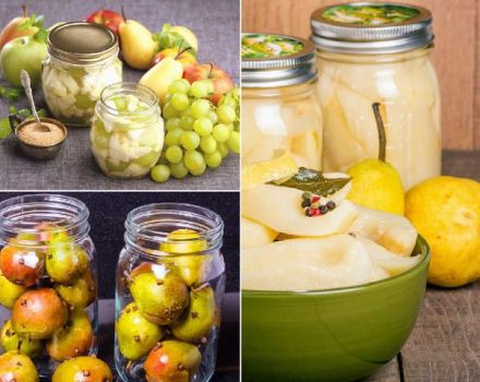 9 einfache Rezepte für eingelegte Birnen für den Winter