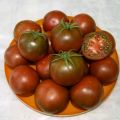 Karakteristike i opis sorte čokoladne rajčice, njen prinos