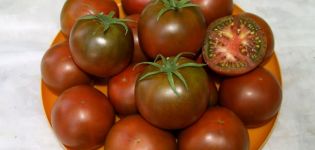 Characteristics and description of the chocolate tomato variety, its yield