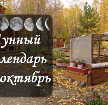 Mond-Aussaatkalender des Gärtners und Gärtners, Arbeitstabelle für Oktober 2020
