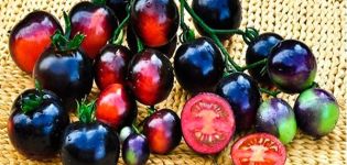 Charakteristiky a opis odrody rajčiaka čierneho hrozna, jeho výnos