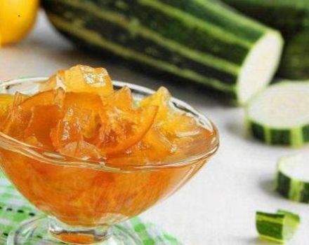 3 labākās receptes cukini ievārījumam ar konservētiem ananāsiem ziemai