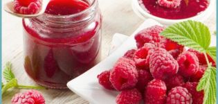 5 delicious recipes for making frozen berry jam for the winter