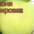 Description and characteristics of apple varieties Papirovka, advantages and disadvantages, cultivation