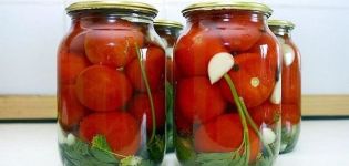 Kış için domates turşusu yapmak için en iyi 17 tarif
