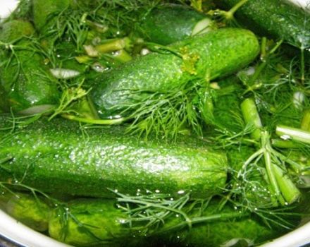 Instantrecepten voor licht gezouten knapperige komkommers in een warme en koude pan met knoflook en kruiden