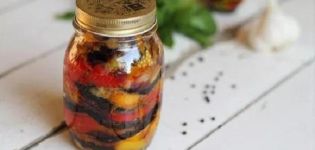 5 beste recepten voor koninklijke aubergine-voorgerechten voor de winter