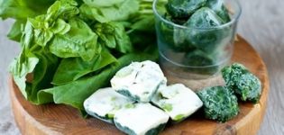 Paano maayos na i-freeze ang spinach para sa taglamig sa bahay
