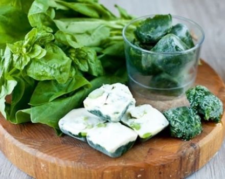 How to properly freeze spinach for the winter at home