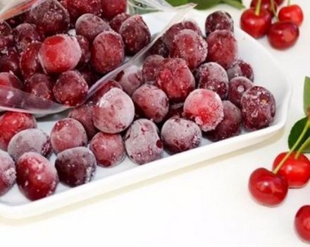 Cómo congelar adecuadamente las cerezas en el refrigerador durante el invierno y es posible