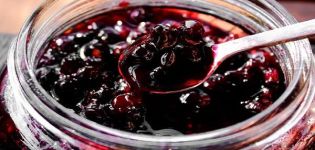 6 Rezepte für die schrittweise Zubereitung von Irgi-Marmelade für den Winter
