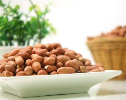 How to properly dry peanuts at home, the best ways
