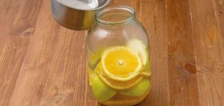 12 najlepszych przepisów na zimowy kompot jabłkowo-pomarańczowy