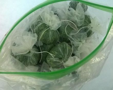 Quy tắc chuẩn bị rau arugula cho mùa đông tại nhà và mẹo bảo quản rau xanh trong tủ đông và tủ lạnh