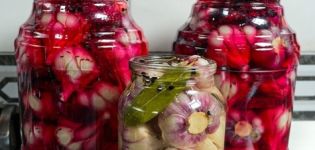 Opskrift til pickling hvidløg med rødbeder til vinteren