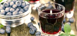 5 prostych przepisów na domowe wino jagodowe