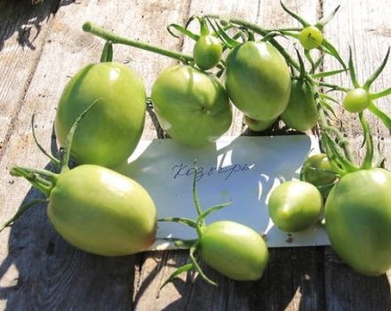 Koz domates çeşidinin tanımı, yetiştiriciliği ve bakımı özellikleri