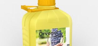 Instruktioner til brug af fungicid Orvego, beskrivelse af produktet og analoger