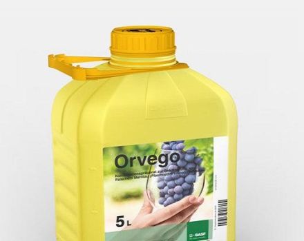 Instructions for the use of fungicide Orvego, description of the product and analogues