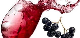 TOP 20 opskrifter til forberedelse af chokeberry-emner til vinteren