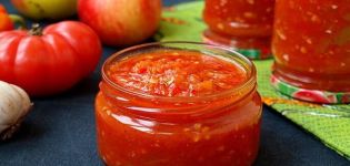 15 rețete despre cum să gătești Tomato Fire pentru iarnă